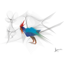 El pájaro -digital (6395 x 4458 pp), año 2008.