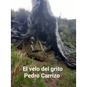 El velo del grito